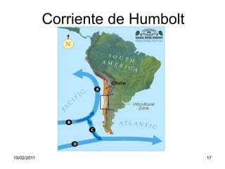 Corriente de Humbolt19/02/201117
