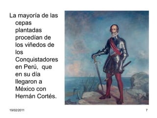 La mayoría de las cepas plantadas                                   procedían de los viñedos de los Conquistadores en Perú,  que en su día llegaron a México con Hernán Cortés.19/02/20117
