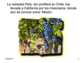 La variedad País, tan prolifera en Chile, fue llevada a California por los misioneros, donde aún se conoce como ‘Misión’.19/02/20119