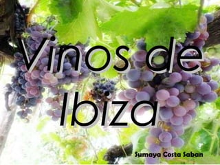 Vinos de Ibiza Sumaya Costa Saban 