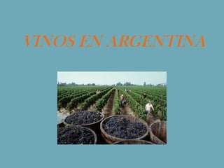 VINOS EN ARGENTINA
 