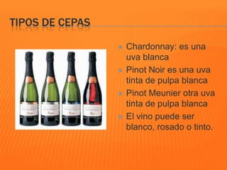 TIPOS DE CEPAS
 Chardonnay: es una
uva blanca
 Pinot Noir es una uva
tinta de pulpa blanca
 Pinot Meunier otra uva
tinta de pulpa blanca
 El vino puede ser
blanco, rosado o tinto.
 