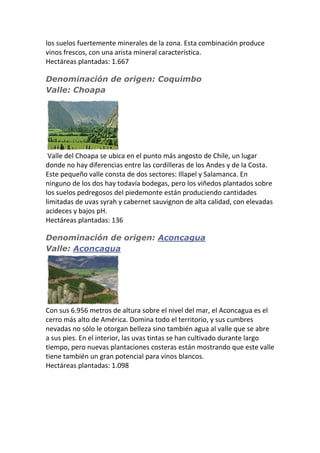los suelos fuertemente minerales de la zona. Esta combinación produce
vinos frescos, con una arista mineral característica.
Hectáreas plantadas: 1.667
Denominación de origen: Coquimbo
Valle: Choapa
Valle del Choapa se ubica en el punto más angosto de Chile, un lugar
donde no hay diferencias entre las cordilleras de los Andes y de la Costa.
Este pequeño valle consta de dos sectores: Illapel y Salamanca. En
ninguno de los dos hay todavía bodegas, pero los viñedos plantados sobre
los suelos pedregosos del piedemonte están produciendo cantidades
limitadas de uvas syrah y cabernet sauvignon de alta calidad, con elevadas
acideces y bajos pH.
Hectáreas plantadas: 136
Denominación de origen: Aconcagua
Valle: Aconcagua
Con sus 6.956 metros de altura sobre el nivel del mar, el Aconcagua es el
cerro más alto de América. Domina todo el territorio, y sus cumbres
nevadas no sólo le otorgan belleza sino también agua al valle que se abre
a sus pies. En el interior, las uvas tintas se han cultivado durante largo
tiempo, pero nuevas plantaciones costeras están mostrando que este valle
tiene también un gran potencial para vinos blancos.
Hectáreas plantadas: 1.098
 