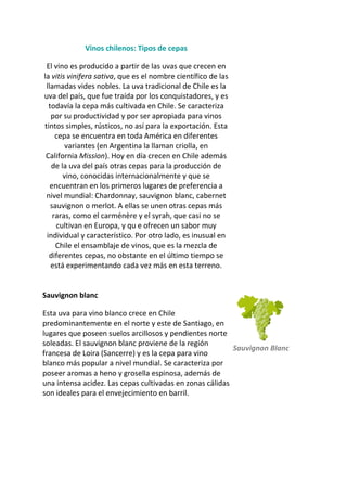 Vinos chilenos: Tipos de cepas
El vino es producido a partir de las uvas que crecen en
la vitis vinifera sativa, que es el nombre científico de las
llamadas vides nobles. La uva tradicional de Chile es la
uva del país, que fue traída por los conquistadores, y es
todavía la cepa más cultivada en Chile. Se caracteriza
por su productividad y por ser apropiada para vinos
tintos simples, rústicos, no así para la exportación. Esta
cepa se encuentra en toda América en diferentes
variantes (en Argentina la llaman criolla, en
California Mission). Hoy en día crecen en Chile además
de la uva del país otras cepas para la producción de
vino, conocidas internacionalmente y que se
encuentran en los primeros lugares de preferencia a
nivel mundial: Chardonnay, sauvignon blanc, cabernet
sauvignon o merlot. A ellas se unen otras cepas más
raras, como el carménère y el syrah, que casi no se
cultivan en Europa, y qu e ofrecen un sabor muy
individual y característico. Por otro lado, es inusual en
Chile el ensamblaje de vinos, que es la mezcla de
diferentes cepas, no obstante en el último tiempo se
está experimentando cada vez más en esta terreno.
Sauvignon blanc
Esta uva para vino blanco crece en Chile
predominantemente en el norte y este de Santiago, en
lugares que poseen suelos arcillosos y pendientes norte
soleadas. El sauvignon blanc proviene de la región
francesa de Loira (Sancerre) y es la cepa para vino
blanco más popular a nivel mundial. Se caracteriza por
poseer aromas a heno y grosella espinosa, además de
una intensa acidez. Las cepas cultivadas en zonas cálidas
son ideales para el envejecimiento en barril.
Sauvignon Blanc
 