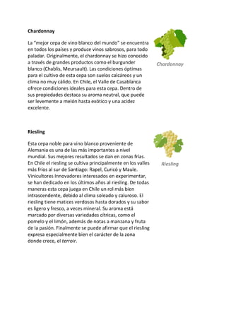 Chardonnay
La “mejor cepa de vino blanco del mundo” se encuentra
en todos los países y produce vinos sabrosos, para todo
paladar. Originalmente, el chardonnay se hizo conocido
a través de grandes productos como el burgunder
blanco (Chablis, Meursault). Las condiciones óptimas
para el cultivo de esta cepa son suelos calcáreos y un
clima no muy cálido. En Chile, el Valle de Casablanca
ofrece condiciones ideales para esta cepa. Dentro de
sus propiedades destaca su aroma neutral, que puede
ser levemente a melón hasta exótico y una acidez
excelente.
Chardonnay
Riesling
Esta cepa noble para vino blanco proveniente de
Alemania es una de las más importantes a nivel
mundial. Sus mejores resultados se dan en zonas frías.
En Chile el riesling se cultiva principalmente en los valles
más fríos al sur de Santiago: Rapel, Curicó y Maule.
Vinicultores Innovadores interesados en experimentar,
se han dedicado en los últimos años al riesling. De todas
maneras esta cepa juega en Chile un rol más bien
intrascendente, debido al clima soleado y caluroso. El
riesling tiene matices verdosos hasta dorados y su sabor
es ligero y fresco, a veces mineral. Su aroma está
marcado por diversas variedades cítricas, como el
pomelo y el limón, además de notas a manzana y fruta
de la pasión. Finalmente se puede afirmar que el riesling
expresa especialmente bien el carácter de la zona
donde crece, el terroir.
Riesling
 