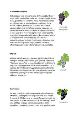 Cabernet Sauvignon
Esta cepa de vino tinto proviene de Francia (Burdeos) y
emprendió una senda triunfal por todo el mundo. Desde
Italia, pasando por California hasta Australia esta cepa
es utilizada para la producción de excelentes vinos
tintos. En Chile, el cabernet se cultiva desde hace
aproximadamente 150 años y crece en vides con sus
raíces verdaderas. El clima cálido, la baja productividad
y unas uvas bien maduras representan una excelente
materia prima para los vinicultores. Esta cepa da origen
a vinos frutosos, concentrados y con una alta
concentración en taninos. El aroma de estos vinos está
marcado por la grosella negra, además las cepas
chilenas poseen un característico aroma a eucaliptos.
Cabernet
Sauvignon
Merlot
Al igual que el cabernet esta cepa proviene también de
la región francesa de Burdeos, y es también llamada la
“hermana menor” de la cepa de cabernet. En Chile es la
segunda más importante entre las cepas nobles. Eso si
cuando los viñedos son muy productivos resultan más
bien vinos de mesa simples. En total, el merlot tiene un
sabor más suave y un aroma menos angulosoque el
cabernet sauvignon.
Merlot
Carménère
La cepa carménère es la marca registrada de los vinos
chilenos. La cepa proviene originalmente de la región
francesa de Médoc, pero la especie fue exterminada en
Europa por la filoxera en el siglo XIX. Sin embargo, en el
año 1994 un enólogo francés descubrió en Chile
ejemplares auténticos de esta cepa, pero que hasta ese
Carmenere
 