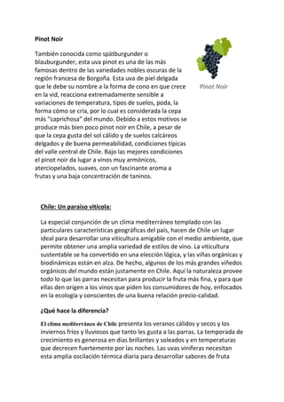 Pinot Noir
También conocida como spätburgunder o
blauburgunder, esta uva pinot es una de las más
famosas dentro de las variedades nobles oscuras de la
región francesa de Borgoña. Esta uva de piel delgada
que le debe su nombre a la forma de cono en que crece
en la vid, reacciona extremadamente sensible a
variaciones de temperatura, tipos de suelos, poda, la
forma cómo se cría, por lo cual es considerada la cepa
más “caprichosa” del mundo. Debido a estos motivos se
produce más bien poco pinot noir en Chile, a pesar de
que la cepa gusta del sol cálido y de suelos calcáreos
delgados y de buena permeabilidad, condiciones típicas
del valle central de Chile. Bajo las mejores condiciones
el pinot noir da lugar a vinos muy armónicos,
aterciopelados, suaves, con un fascinante aroma a
frutas y una baja concentración de taninos.
Pinot Noir
Chile: Un paraíso vitícola:
La especial conjunción de un clima mediterráneo templado con las
particulares características geográficas del país, hacen de Chile un lugar
ideal para desarrollar una viticultura amigable con el medio ambiente, que
permite obtener una amplia variedad de estilos de vino. La viticultura
sustentable se ha convertido en una elección lógica, y las viñas orgánicas y
biodinámicas están en alza. De hecho, algunos de los más grandes viñedos
orgánicos del mundo están justamente en Chile. Aquí la naturaleza provee
todo lo que las parras necesitan para producir la fruta más fina, y para que
ellas den origen a los vinos que piden los consumidores de hoy, enfocados
en la ecología y conscientes de una buena relación precio-calidad.
¿Qué hace la diferencia?
El clima mediterráneo de Chile presenta los veranos cálidos y secos y los
inviernos fríos y lluviosos que tanto les gusta a las parras. La temporada de
crecimiento es generosa en días brillantes y soleados y en temperaturas
que decrecen fuertemente por las noches. Las uvas viníferas necesitan
esta amplia oscilación térmica diaria para desarrollar sabores de fruta
 