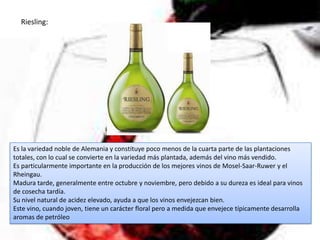 Riesling:




Es la variedad noble de Alemania y constituye poco menos de la cuarta parte de las plantaciones
totales, con lo cual se convierte en la variedad más plantada, además del vino más vendido.
Es particularmente importante en la producción de los mejores vinos de Mosel-Saar-Ruwer y el
Rheingau.
Madura tarde, generalmente entre octubre y noviembre, pero debido a su dureza es ideal para vinos
de cosecha tardía.
Su nivel natural de acidez elevado, ayuda a que los vinos envejezcan bien.
Este vino, cuando joven, tiene un carácter floral pero a medida que envejece típicamente desarrolla
aromas de petróleo
 
