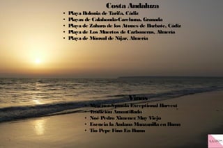 Costa Andaluza
● Playa Bolonia de Tarifa, Cádiz
● Playas de Calahonda-Carchuna, Granada
● Playa de Zahara de los Atunes de Barbate, Cádiz
● Playa de Los Muertos de Carboneras, Almería
● Playa de Mónsul de Níjar, Almería
Vinos
● Ximénez-Spínola Exceptional Harvest
● Tradición Amontillado
● Noé Pedro Ximenez Muy Viejo
● Esencia la Andana Manzanilla en Rama
● Tio Pepe Fino En Rama
 