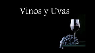 Vinos y Uvas
 