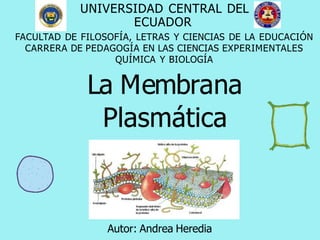 UNIVERSIDAD CENTRAL DEL
ECUADOR
FACULTAD DE FILOSOFÍA, LETRAS Y CIENCIAS DE LA EDUCACIÓN
CARRERA DE PEDAGOGÍA EN LAS CIENCIAS EXPERIMENTALES
QUÍMICA Y BIOLOGÍA
La Membrana
Plasmática
Autor: Andrea Heredia
 