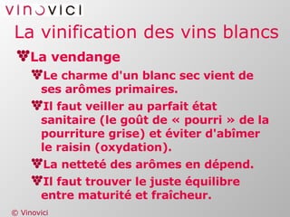 La vinification des vins blancs La vendange Le charme d'un blanc sec vient de ses arômes primaires. Il faut veiller au parfait état sanitaire (le goût de « pourri » de la pourriture grise) et éviter d'abîmer le raisin (oxydation). La netteté des arômes en dépend. Il faut trouver le juste équilibre entre maturité et fraîcheur. 