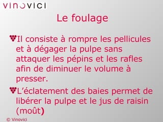 Le foulage Il consiste à rompre les pellicules et à dégager la pulpe sans attaquer les pépins et les rafles afin de diminuer le volume à presser. L’éclatement des baies permet de libérer la pulpe et le jus de raisin (moût ) 