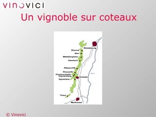 Un vignoble sur coteaux 