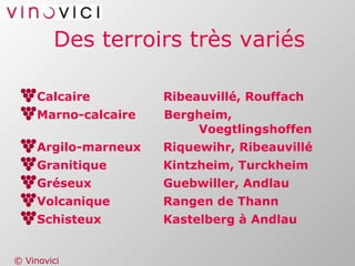 Des terroirs très variés Calcaire Ribeauvillé, Rouffach Marno-calcaire  Bergheim,  Voegtlingshoffen Argilo-marneux Riquewihr, Ribeauvillé Granitique Kintzheim, Turckheim Gréseux Guebwiller, Andlau Volcanique Rangen de Thann Schisteux Kastelberg à Andlau 