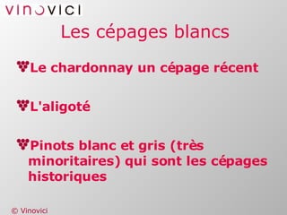 Les cépages blancs Le chardonnay un cépage récent L'aligoté Pinots blanc et gris (très minoritaires) qui sont les cépages historiques 