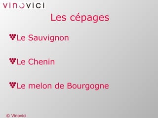 Les cépages Le Sauvignon Le Chenin Le melon de Bourgogne 