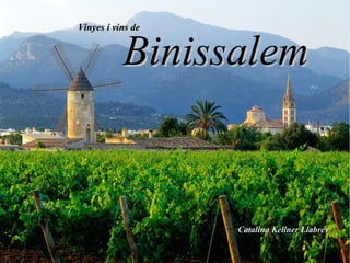 Vinyes i vins deVinyes i vins de
BinissalemBinissalem
Catalina Kellner Llabrés
 