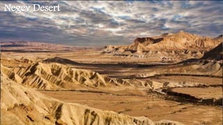 Negev Desert
 