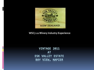 WSC7.11 Winery Industry Experience  Vintage 2011 atEsk Valley EstateBay view, Napier 
