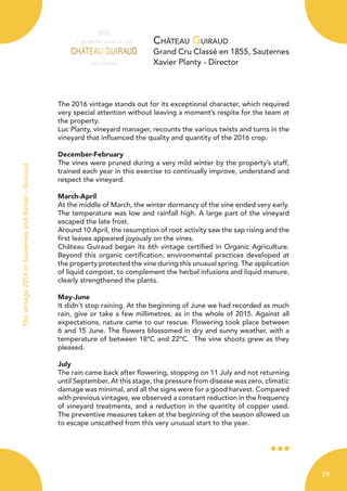 Château Guiraud
Grand Cru Classé en 1855, Sauternes
Xavier Planty - Director
The 2016 vintage stands out for its exceptional character, which required
very special attention without leaving a moment’s respite for the team at
the property.
Luc Planty, vineyard manager, recounts the various twists and turns in the
vineyard that influenced the quality and quantity of the 2016 crop.
December-February
The vines were pruned during a very mild winter by the property’s staff,
trained each year in this exercise to continually improve, understand and
respect the vineyard.
March-April
At the middle of March, the winter dormancy of the vine ended very early.
The temperature was low and rainfall high. A large part of the vineyard
escaped the late frost.
Around 10 April, the resumption of root activity saw the sap rising and the
first leaves appeared joyously on the vines.
Château Guiraud began its 6th vintage certified in Organic Agriculture.
Beyond this organic certification, environmental practices developed at
the property protected the vine during this unusual spring. The application
of liquid compost, to complement the herbal infusions and liquid manure,
clearly strengthened the plants.
May-June
It didn’t stop raining. At the beginning of June we had recorded as much
rain, give or take a few millimetres, as in the whole of 2015. Against all
expectations, nature came to our rescue. Flowering took place between
6 and 15 June. The flowers blossomed in dry and sunny weather, with a
temperature of between 18°C and 22°C. The vine shoots grew as they
pleased.
July
The rain came back after flowering, stopping on 11 July and not returning
until September. At this stage, the pressure from disease was zero, climatic
damage was minimal, and all the signs were for a good harvest. Compared
with previous vintages, we observed a constant reduction in the frequency
of vineyard treatments, and a reduction in the quantity of copper used.
The preventive measures taken at the beginning of the season allowed us
to escape unscathed from this very unusual start to the year.
Thevintage2016inSauternesandBarsac-Guiraud
29
 