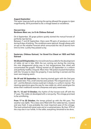 August-September
The water reserves built up during the spring allowed the grapes to ripen
magnificently. 2016 promised to be a vintage based on excellence.
Harvest time
Bordeaux Blanc sec, Le G de Château Guiraud
On 6 September, 30 grape pickers quietly started the manual harvest of
perfectly ripe berries.
Between 7 and 22 September, there were 90 pairs of secateurs at work
during 8 days of picking. The conditions were optimal, though always with
an eye on the weather forecast which announced the risk of storms from
time to time. Luckily they passed us by.
Sauternes, Château Guiraud, 1er Grand Cru Classé en 1855 and Petit
Guiraud
On22and23September,themicroclimatefavourableforthedevelopment
of noble rot set in late. With the sun coming out during the morning,
the mist disappeared giving way to hot temperatures that dried and
concentrated the grapes. Picking started on 22 September in a uniform
and perfectly healthy vineyard. More than 150 pickers busied themselves
with the 1st pass to clean the property. It was starting in earnest and the
team was keeping watch.
On 29 and 30 September, the cleaning started again with the 2nd pass
one week later. Fine, small volumes were picked. The vineyard was on “re-
set”, and the Botrytis cinerea could set in slowly, in a uniform manner. The
cleaning operations gave the way for new noble rot, which would give the
wines their traditional aromatic sharpness and spicy sweetness.
On 11, 12 and 13 October, the rhythm of the harvest took off with the
3rd
pass. The noble rot developed with a rare purity. The vintage promised
to be scintillating.
From 17 to 22 October, the tempo picked up with the 4th pass. The
weather was idyllic. The crates were filled with fine noble berries, roasted
and very fresh. It was probably the most important pass of this vintage.
The team picked with great ease and at a sustained pace. By then, 97% of
the crop was in our hands. In the cellar, everything remained to be done.
Thevintage2016inSauternesandBarsac-Guiraud
30
 