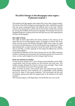 The 2016 Vintage in the Bourgogne wine region :
A pleasant surprise !
The people of the Bourgogne wine region like a story with a happy ending.
The wines of the 2016 vintage have granted this wish, exhibiting a quality
that was quite unexpected given the difficult start to the year. Climate
events in the spring took a severe toll on the harvest, which will no doubt
be among the smallest of the past two decades. Fortunately, this has not
stopped producers making wines that will fully live up to the expectations
of lovers of Bourgogne.
One night of frost
The night of 26-27 April 2016 will remain etched in the memory of all
those who live in the Bourgogne region. It brought an historic late frost,
when the first leaves had already emerged. While some areas are used
to this kind of phenomenon, its territorial spread was exceptional. A few
days beforehand, a violent hail storm struck the south of the wine region.
And on 27 May, a further episode of hail swept the Mâconnais and the
north of Bourgogne.
A significant proportion of the future harvest was at risk. While everyone
strived to preserve those bunches that had been spared and nurture the
vines, no one could imagine how this vintage might end up.
From one extreme to another
On the summer solstice of 21 June, things turned radically around. After
a particularly cold and wet spring, sun and warmth now took over. This
sudden change allowed the vines to recover some strength. They made
up for the lateness of the start of the growth cycle.
After an excess of water, some places were now experiencing drought,
fortunately eased by some welcome rain in September, which allowed
the fruit to ripen in very good conditions. This continued until the end
of October, giving each plot the opportunity to be picked at the ideal
moment.
The harvests began on 20 September and stretched over one month.
37
 