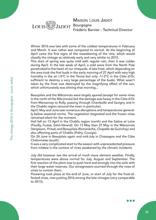 Maison Louis Jadot
Bourgogne
Frédéric Barnier - Technical Director
Thevintage2016inBourgogne-LouisJadot
Winter 2016 was late with some of the coldest temperatures in February
and March. It was rather wet compared to normal. At the beginning of
April came the first signs of the reawakening of the vine, which would
classify the vintage as relatively early and very similar to 2015.
This start of spring was quite mild with regular rain, then it was colder
during April. In the last week of April, a cold wave from the North Pole
penetrated to the heart of our vineyards. A late frost, which depending on
the area took the first buds in the early morning of 27 April with very high
humidity in the air (-4°C in the Yonne but only -1/-2°C in the Côte d’Or,
sufficient to destroy a very large percentage of the buds). What wasn’t
taken by the frost was destroyed by the magnifying effect of the sun,
which unfortunately was shining that morning...
Beaujolais and the Mâconnais were largely spared (except for some vines
in the north of the Mâconnais) but the damage was heavy in the Côte d’Or
from Marsannay to Rully, passing through Chambolle and Savigny and in
the Chablis region (around the town in particular).
April, May and June saw numerous disruptions and temperatures general-
ly below seasonal norms. The vegetation stagnated and the frozen vines
remained silent for the moment.
Hail fell on 13 April in the Chablis region (north) and the Saône et Loire
(Pouilly, Fuissé, Saint-Vérand). On 13 May then 27 May in the Mâconnais
(Vergisson, Prissé) and Beaujolais (Romanèche, Chapelle de Guinchay) and
also affecting parts of Chablis (Préhy, Courgis).
On 24 June in Beaujolais again and mid-July in Chassagne and the Côte
Chalonnaise (south).
It was a very complicated start to the season with unprecedented pressure
from mildew in the context of vines weakened by the climatic incidents.
July did however see the arrival of much more clement weather. Finally,
temperatures were above normal for July, August and September. The
first reaction of the plant was to push hard and strongly into the soils with
their large water reserves. Our winegrowers scurried through the rows of
vines to contain them.
Flowering took place at the end of June, or start of July for the frost-af-
fected vines, now putting 2016 among the late vintages (very comparable
to 2013).
39
 