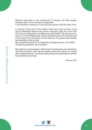 Véraison took place in the second part of August and some grapes
changed colour in the first days of September.
It was therefore necessary to wait and to be patient with the laden vines.
In contrast to the start of the season, there was a lack of water at the
end of September because the summer had been quite dry in the Côte
d’Or (less so in Beaujolais, the Mâconnais and Chablis). The necessary rain
came on 17 and 18 September and we decided to wait and make the most
of this water to let the plants resume ripening. The grapes were healthy
and seemed to hold up well.
We started the harvest on 27 September (10 days this year, 12 in 2015).
The picking conditions were excellent.
Our patience was rewarded and the level of ripeness was very interesting.
The reds are tender, with ripe and supple tannins, the colours are superb
with a deep black hue. The whites were picked with good balance and the
fermentations were lively.
February 2017
http://www.louisjadot.com/fr/
Thevintage2016inBourgogne-LouisJadot
40
 