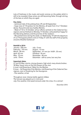 Lots of freshness in the musts and exotic aromas on the palate which is
still to be revealed; these wines are still becoming fatter through stirring
of the lees on which they are aged.
Key dates
- technical trials of the picking lines: 29 and 30 September
- large crew of 110 pickers for the Merlots, all week from 3 to 7 October:
dense, flavourful and very healthy Merlots.
- Week of 10 to 15 October: all our efforts centred on the Cabernet Sau-
vignons and we finished on Monday 17 October, exhausted but happy for
the liberating delivery and the promise of the newborn.
- We partied twice during the week: on Wednesday 19 with the departure
of our Portuguese pickers and on Friday 21 with the staff of the property
around a Brazilian barbecue!
Rainfall in 2016
January: 250 mm			
February: 153 mm			
March: 80 mm		
April: 42 mm
May: 72 mm
June: 75mm 	
Important dates
21 and 22 May: storms, strong showers, high wind, many shoots broken.
30 May: heavy rains on the first flowers of the vine
6 June: mid-flowering at Talbot for the Merlots
8 June: - full flowering of the Merlots, mid-flowering of the Cabernet Sau-
vignons, start of flowering for the Sauvignons
- fine weather, at last
Throughout June: intense battle against mildew
The harvest was played out in mid-June!
July: fine weather, 2nd weed removal under the vines, it’s a winner!
December 2016
http://chateau-talbot.com
July : 2 mm
August : 13 mm
September : 41 mm (on 14/09 : 35 mm)
Octobrer: 18 mm
November : 85 mm
Décember : still to come, but very low
Thevintage2016inBordeaux-Talbot
7
 