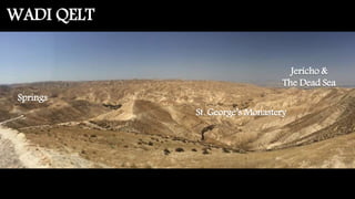 WADI QELT
Jericho &
The Dead Sea
St. George’s Monastery
Springs
 