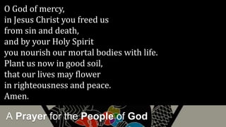 A Prayer for the People of God
O God of mercy,
in Jesus Christ you freed us
from sin and death,
and by your Holy Spirit
you nourish our mortal bodies with life.
Plant us now in good soil,
that our lives may flower
in righteousness and peace.
Amen.
 
