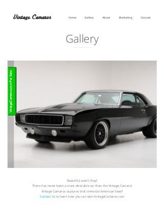 Home Gallery About Marketing Contact
Gallery
Beautiful aren’t they!
There has never been a more desirable car then the Vintage Camaro!
Vintage Camaros captures that immortal American Steel!
Contact Us to learn how you can own VintageCamaros.com

VintageCamaros.com For SaleVintageCamaros.com For Sale
 
