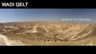 WADI QELT
Jericho & The Dead Sea
Springs
 