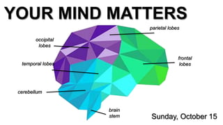 Sunday, October 15
YOUR MIND MATTERS
frontal
lobes
parietal lobes
occipital
lobes
temporal lobes
cerebellum
brain
stem
 