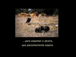 ...para espantar o abutre, que pacientemente espera. 