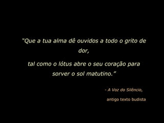 “ Que a tua alma dê ouvidos a todo o grito de dor, tal como o lótus abre o seu coração para sorver o sol matutino.” - A Voz do Silêncio, antigo texto budista 