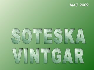 SOTESKA VINTGAR MAJ 2009 