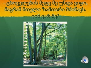 - ცხოველების მეფე მე უნდა ვიყო,
მაგრამ მთელი ზამთარი მძინავს.
ვინ ვარ მე?
 