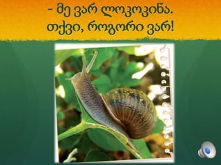 - მე ვარ ლოკოკინა.
თქვი, როგორი ვარ!
 