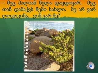 - მეც ძალიან ნელა დავდივარ. მეც
თან დამაქვს ჩემი სახლი. მე არ ვარ
ლოკოკინა. ვინ ვარ მე?
 