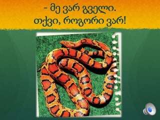 - მე ვარ გველი.
თქვი, როგორი ვარ!
 