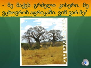 - მე მაქვს გრძელი კისერი. მე
ვცხოვრობ აფრიკაში. ვინ ვარ მე?
 