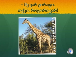 - მე ვარ ჟირაფი.
თქვი, როგორი ვარ!
 