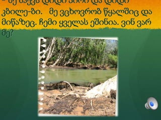 - მე მაქვს დიდი პირი და დიდი
კბილე-ბი. მე ვცხოვრობ წყალშიც და
მიწაზეც. ჩემი ყველას ეშინია. ვინ ვარ
მე?
 