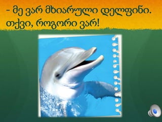 - მე ვარ მხიარული დელფინი.
თქვი, როგორი ვარ!
 