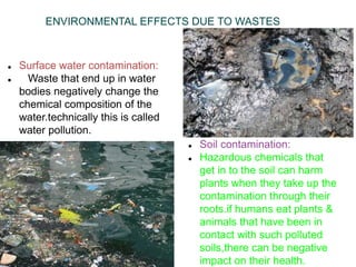Waste Contamination Health Risks Example Vinya p | PPTX