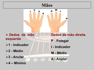 Mãos
 Dedos da mão
esquerda
1 - Indicador
2 - Médio
3 - Anular
4 – Mínimo
Dedos da mão direita
P - Polegar
I - Indicador
M - Médio
A - Anular
 