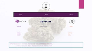 THC CBDCBD
HOME
FLOWER
EXTRACTS
TINCURES
EDIBILES
TINCURES
TOPICALS
PILLS
EDIBLES
AUTHENTIC AND ORGANIC INTEGRATION INTO THE MARKET BY SELECTIVE PRODUCT PRODUCTION
EACH BRAND ESTABLISHES ITS OWN PRESENCE WITHIN THE RELATIVE SUBMARKET
LIFESTYLE
TOPICALS
EDIBLES
PILLS
BEVERAGES
PAIN+RECOVERY
 