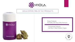 VIOLA OFFERS 78% OF THC PRODUCTS
Flower Products:
Pre-Rolls | Lite Dep | Ultra-Premium
Concentrate Products:
Live Resin | Wax | Shatter | Vapes
 